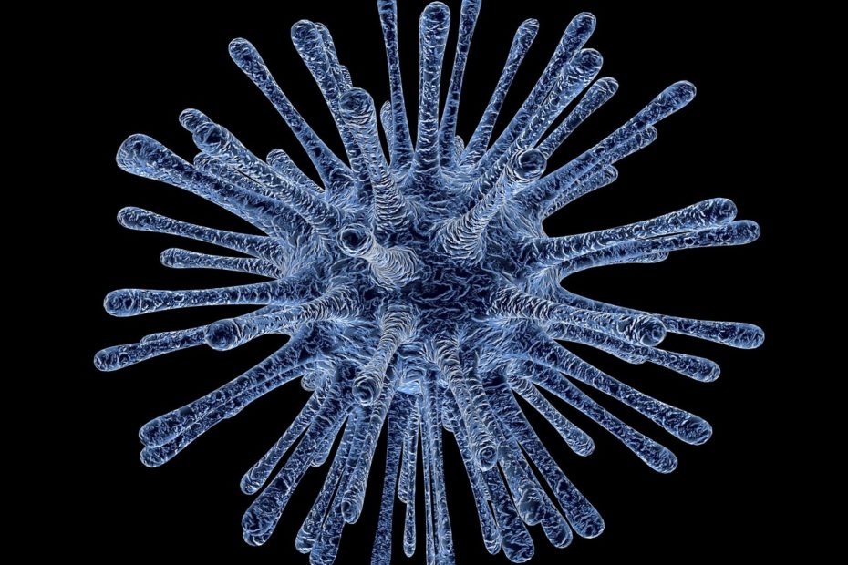 virus, bacterium, infection-213708.jpg