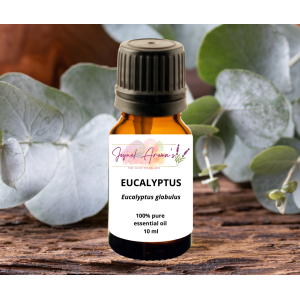 Eucalyptus Essential Oil