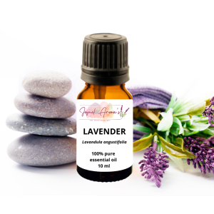 Lavender Essential Oil