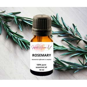 Rosemary Essential Oil